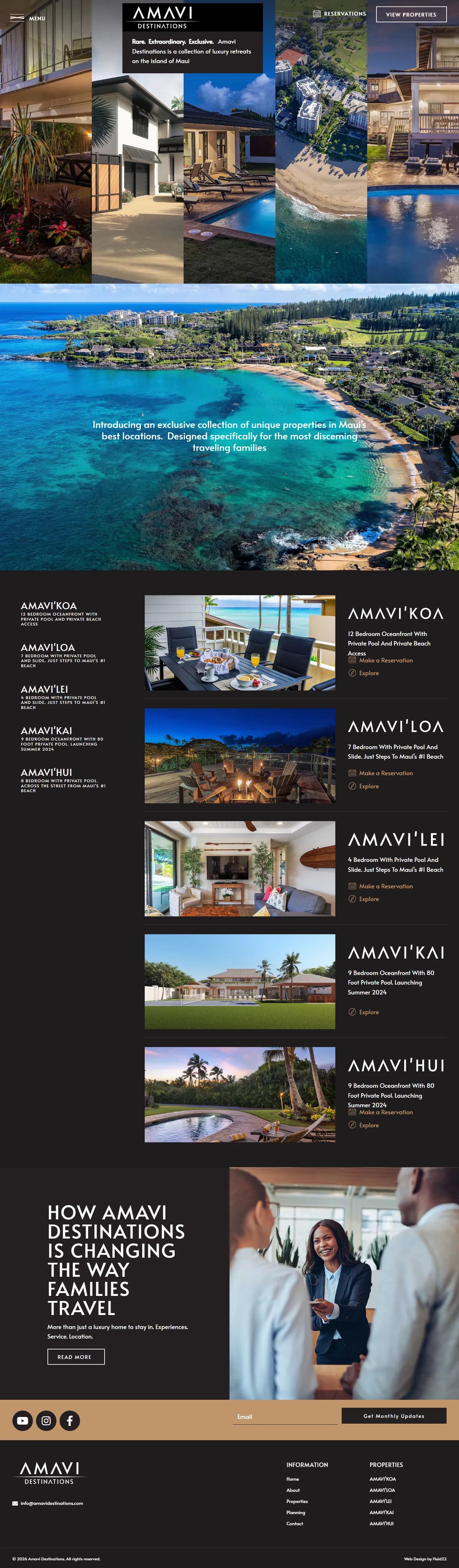 AMAVI website, full page