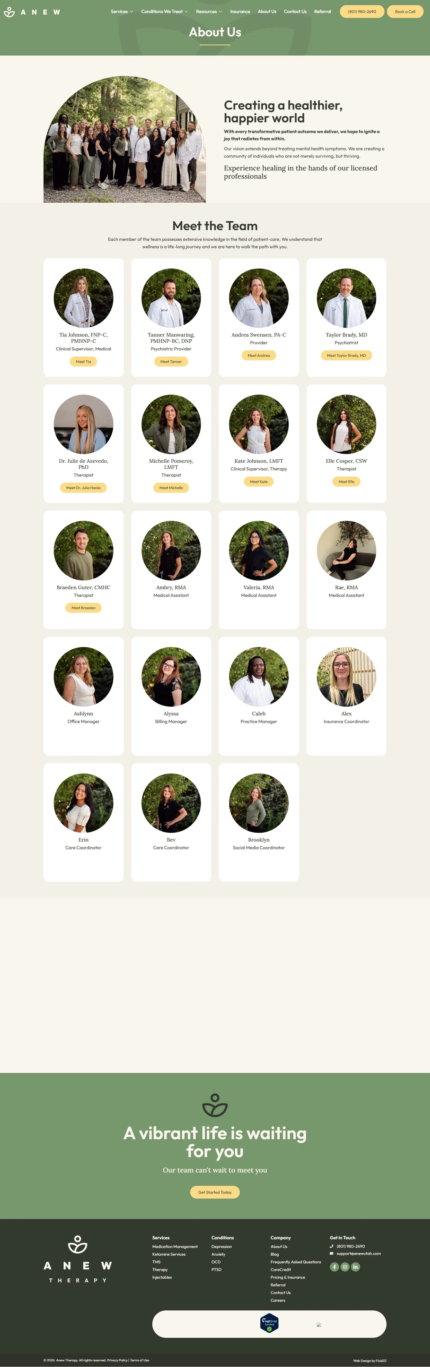 Anew Therapy website, inner page