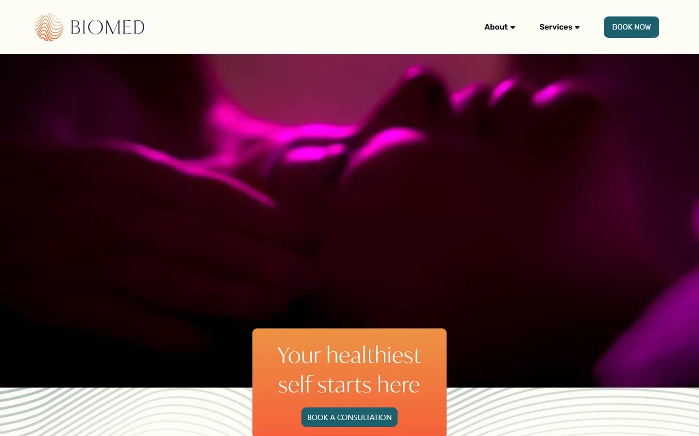 Biomed website before the redesign