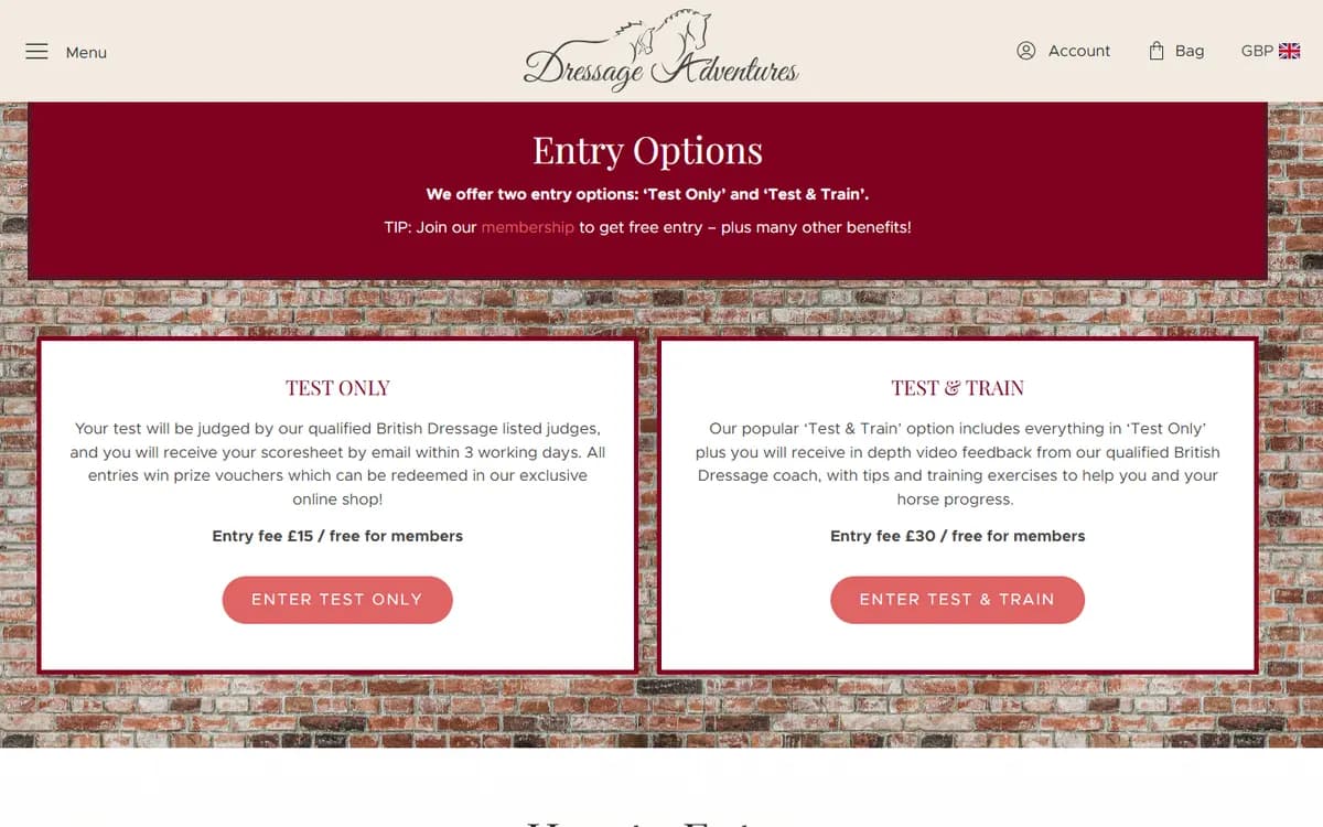 Dressage Adventures: Monthly online competitions
