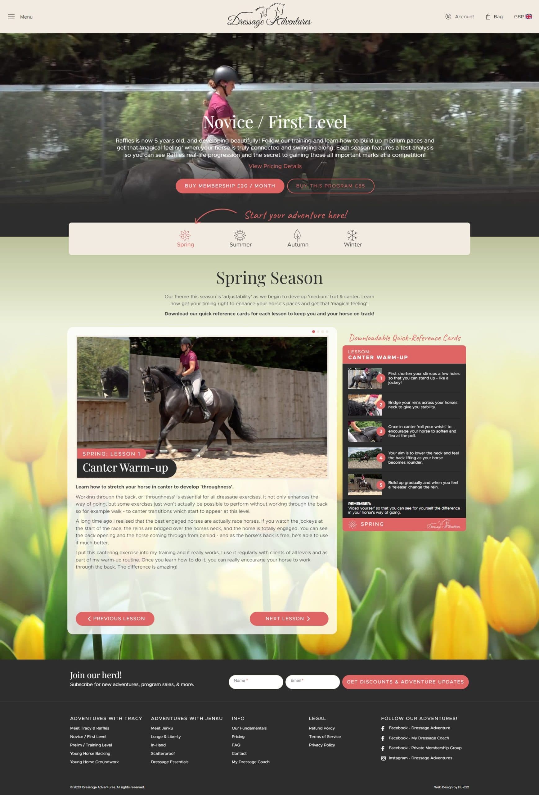 Dressage Adventures website, inner page